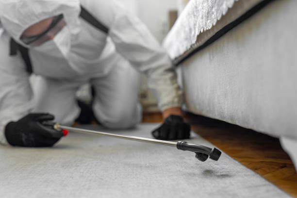Professional Ant Control technician working in Lawton, OK