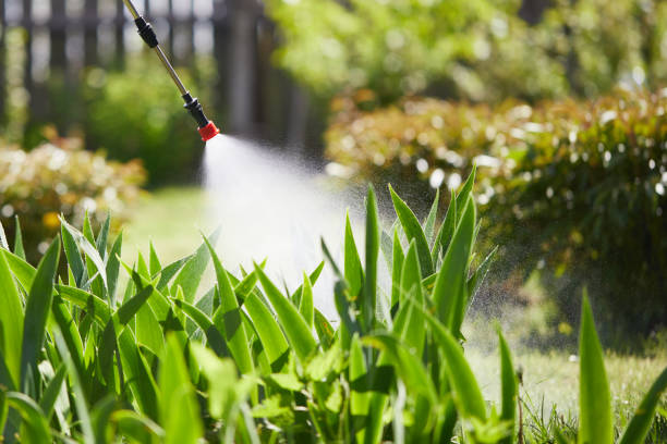 24/7 Emergency Ant Control experts in Lawton, OK
