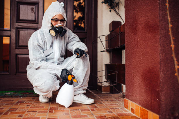 Reliable Ant Control contractor in Lawton, OK by Nex Pest Control