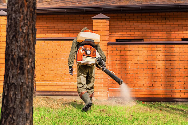 Trusted Cockroach Control service in Lawton, OK - Nex Pest Control